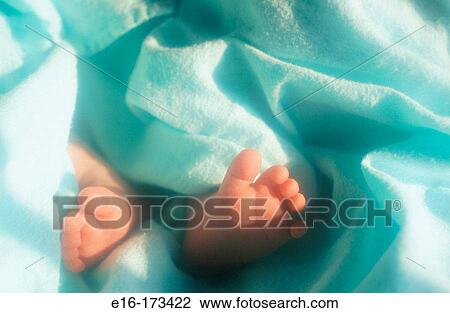 Newborn in blanket View Large Photo Image Stock Image - Newborn in blanket. Fotosearch