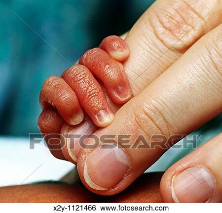 Newborn infant hand clutching mothers fingers View Large Photo Image Stock Photograph - Newborn infant hand clutching mothers fingers. Fotosearch