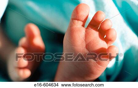 Picture - Newborn. Fotosearch