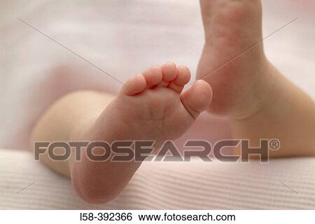 Newborn View Large Photo Image Stock Photograph - Newborn. Fotosearch