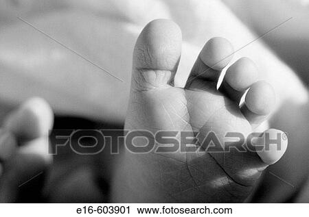 Newborn toes View Large Photo Image Stock Image - Newborn toes. Fotosearch