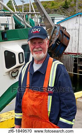 Newfoundland Canada Port de Graves harbor working Port Quality Inspector for fish View Large Photo Image Stock Image - Newfoundland Canada Port de Graves harbor working Port Quality Inspector for fish. Fotosearch