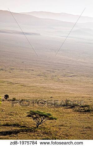 Picture - ngorongoro crater in tanzania.. Fotosearch