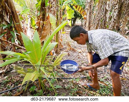 Stock Photo - Nicaragua. FEDICAMP projects. Rio Abajo.. Fotosearch
