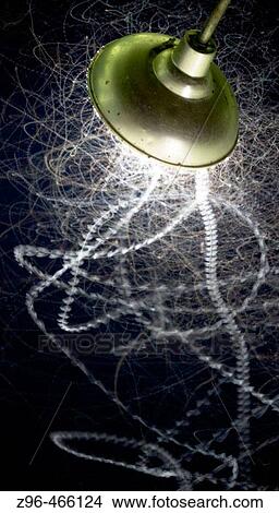Night, animal live at night, fly tracks from insects in light. Pantanal, the world largest wetland, Brazil, South America View Large Photo Image Picture - Night, animal live at night, fly tracks from insects in light. Pantanal, the world largest wetland, Brazil, South America. Fotosearch