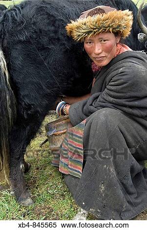 Nomad, West of Litang, Sichuan, China View Large Photo Image Stock Photography - Nomad, West of Litang, Sichuan, China. Fotosearch