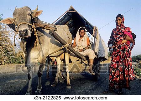 nomadic family on the road, Kutch district, Gujarat, India, South Asia. View Large Photo Image Stock Photography - nomadic family on the road, Kutch district, Gujarat, India, South Asia.. Fotosearch