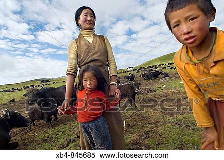 Nomads in grassland, East of Litang, Sichuan, China View Large Photo Image Stock Photography - Nomads in grassland, East of Litang, Sichuan, China. Fotosearch