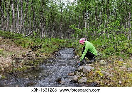 Nordmannvikdalen valley, region of Lyngen, County of Troms, Norway, Northern Europe View Large Photo Image Stock Photography - Nordmannvikdalen valley, region of Lyngen, County of Troms, Norway, Northern Europe. Fotosearch
