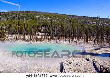 Stock Photography - Norris Geyser Basin, Yellowstone National Park, Wyoming/Idaho, Montana, USA. Fotosearch