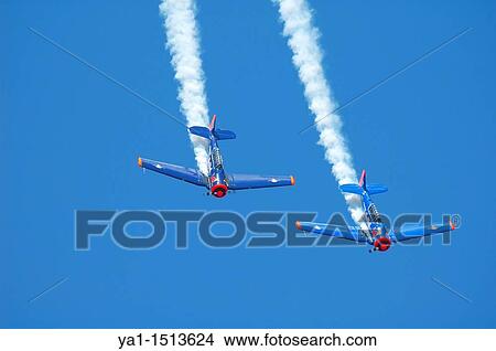 Picture - North American T-6 Texan Harvard of the aerobatic Red Bull flying formation. Fotosearch