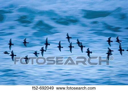 North Sea. Lofoten Islands, Norway, Europe View Large Photo Image Stock Photo - North Sea. Lofoten Islands, Norway, Europe. Fotosearch
