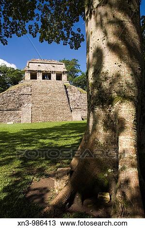 Stock Image - North temple in Maya archaeological site, Palenque. Chiapas, Mexico. Fotosearch