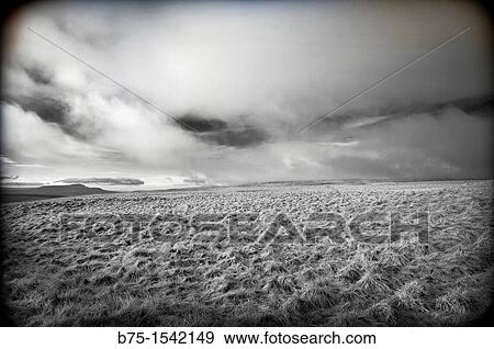 North Yorkshire Dales, England, UK View Large Photo Image Stock Photo - North Yorkshire Dales, England, UK. Fotosearch