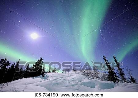 Stock Image - Northern lights (Aurora borealis). Northwest territories, 30 km. East of Yellowknife city, on the Great Slave Lake (temp: 42 below zero). Canada (March 2008). Fotosearch