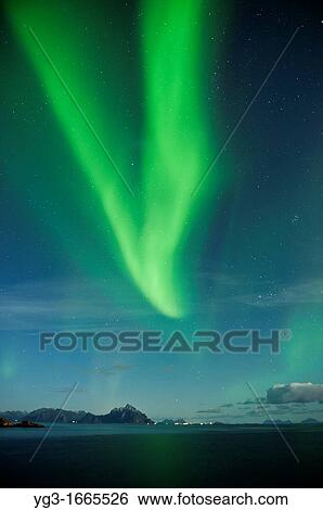 Northern Lights fill sky over sea and mountains, Stamsund, Vestvagoy, Lofoten islands, Norway View Large Photo Image Stock Photograph - Northern Lights fill sky over sea and mountains, Stamsund, Vestvagoy, Lofoten islands, Norway. Fotosearch
