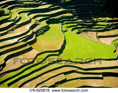 northern Philippines amazing rice terraces, near Banaue, Luzon. View Large Photo Image Stock Photo - northern Philippines amazing rice terraces, near Banaue, Luzon.. Fotosearch