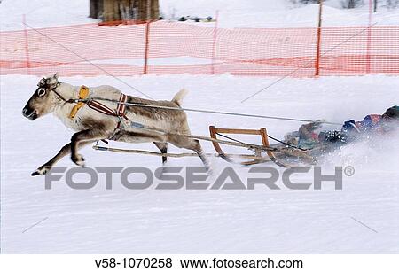 Stock Photo - Norway, Finnmark, Kautokeino, Easter festival, Laap woman. Fotosearch