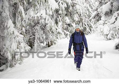 Norway, Oslo, Holmenkollen Female hiker walking through snow covered forest in the Holmenkollen area near to Tryvann Ski-field View Large Photo Image Stock Image - Norway, Oslo, Holmenkollen Female hiker walking through snow covered forest in the Holmenkollen area near to Tryvann Ski-field. Fotosearch