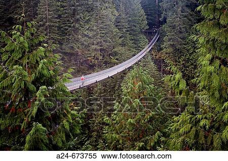 Stock Photography - Nov. 2007. Canada. British Columbia. Vancouver City. Capilano suspension bridge.. Fotosearch