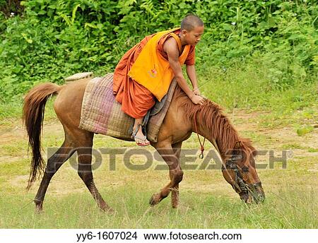 Novice and the horse on relaxation time, Wat Tam Pa Ar-Cha Thong, Maechan, Chiangrai, North of Thailand. View Large Photo Image Picture - Novice and the horse on relaxation time, Wat Tam Pa Ar-Cha Thong, Maechan, Chiangrai, North of Thailand.. Fotosearch