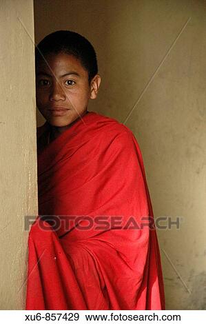 Novice monk Tiksey, Ladakh, India View Large Photo Image Stock Photo - Novice monk Tiksey, Ladakh, India. Fotosearch
