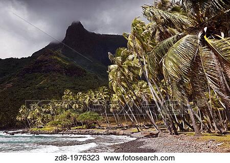 nuku hiva island. aakapa. View Large Photo Image Stock Image - nuku hiva island. aakapa.. Fotosearch