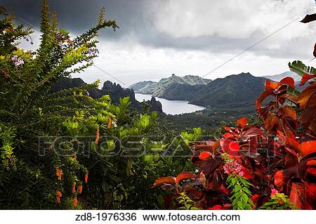 nuku hiva island. hatihen bay. View Large Photo Image Stock Photograph - nuku hiva island. hatihen bay.. Fotosearch