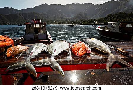 nuku hiva island. taiohae port. View Large Photo Image Stock Photo - nuku hiva island. taiohae port.. Fotosearch