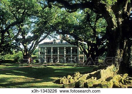 Oak Alley Plantation, Vacherie, Louisiana, United States of America, Americas View Large Photo Image Stock Photograph - Oak Alley Plantation, Vacherie, Louisiana, United States of America, Americas. Fotosearch