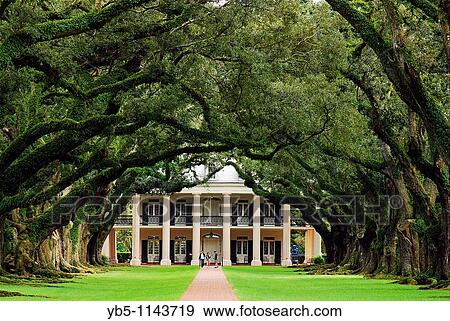 Stock Photo - Oak Alley, Vacherie, Louisiana. Fotosearch