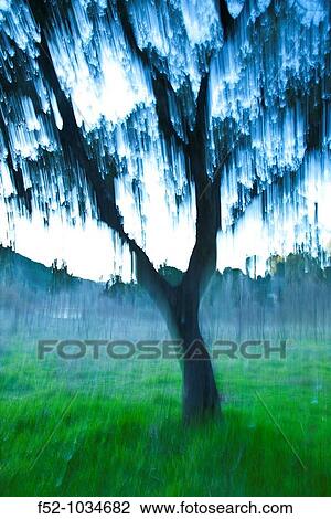 Oaks Meadow. Sierra de Andjar Natural Park. Ja? n province. Andaluc? a. Spain. View Large Photo Image Stock Image - Oaks Meadow. Sierra de Andjar Natural Park. Ja? n province. Andaluc? a. Spain.. Fotosearch