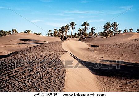 Stock Image - Oasis and palm grove, M? Hamid, Draa Valley, Morocco.. Fotosearch