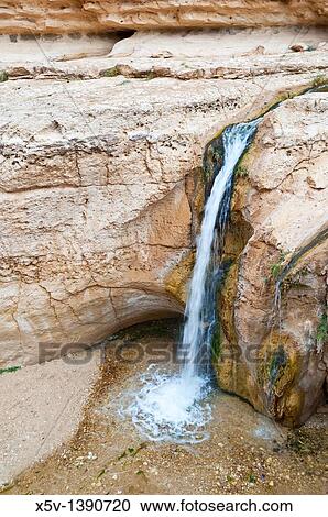 Oasis, Chebika mountain. Tunisia. Africa. View Large Photo Image Stock Image - Oasis, Chebika mountain. Tunisia. Africa.. Fotosearch