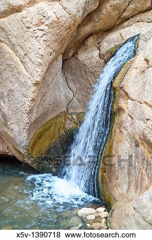Oasis, Chebika mountain. Tunisia. Africa. View Large Photo Image Stock Photo - Oasis, Chebika mountain. Tunisia. Africa.. Fotosearch