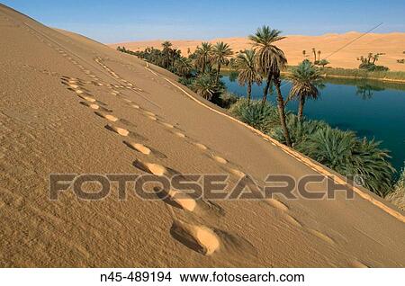 Oasis, Libya. View Large Photo Image Picture - Oasis, Libya.. Fotosearch