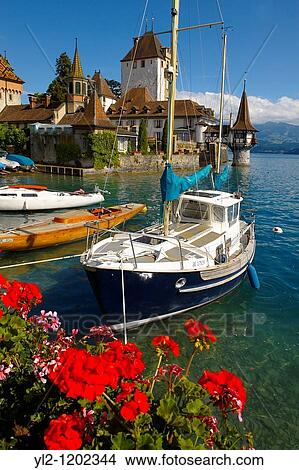 Picture - Oberhoffen Castle Lake Thun Bernese Oberland Switzerland. Fotosearch