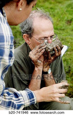 Observation of macrofossils, sampling peat, climate change research, Neiker-Tecnalia, Unit of Environment, Belate, Navarra, Spain View Large Photo Image Stock Photograph - Observation of macrofossils, sampling peat, climate change research, Neiker-Tecnalia, Unit of Environment, Belate, Navarra, Spain. Fotosearch