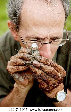 Observation of macrofossils, sampling peat, climate change research, Neiker-Tecnalia, Unit of Environment, Belate, Navarra, Spain View Large Photo Image Stock Photography - Observation of macrofossils, sampling peat, climate change research, Neiker-Tecnalia, Unit of Environment, Belate, Navarra, Spain. Fotosearch