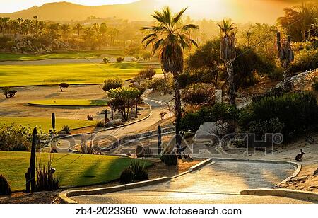 Ocean Course, designed by jack Nicklaus, Cabo del Sol, The Corridor, Cabo San Lucas, Baja California, Mexico, North America. View Large Photo Image Stock Image - Ocean Course, designed by jack Nicklaus, Cabo del Sol, The Corridor, Cabo San Lucas, Baja California, Mexico, North America.. Fotosearch