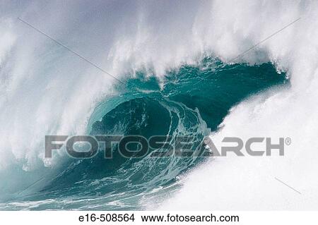 Picture - Ocean wave, Hawaii. USA. Fotosearch