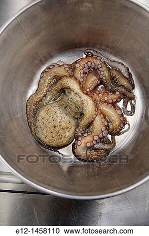 Octopus, 3 stars Michelin guide Restaurant Le Louis XV by chef Franck Cerutti, Hotel de Paris, Monte Carlo, Monaco View Large Photo Image Stock Image - Octopus, 3 stars Michelin guide Restaurant Le Louis XV by chef Franck Cerutti, Hotel de Paris, Monte Carlo, Monaco. Fotosearch