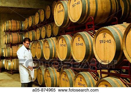 Oenologist checking the evolution and characteristics of wine, Olvena winery in the Somontano wine region, Barbastro. Huesca province, Aragon, Spain View Large Photo Image Stock Photography - Oenologist checking the evolution and characteristics of wine, Olvena winery in the Somontano wine region, Barbastro. Huesca province, Aragon, Spain. Fotosearch