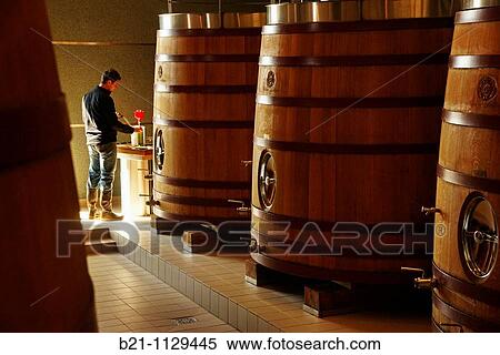 Oenologist Florian Fresselinat at work in the? cuvier? of Ch? teau Destieux, a new? Grand Cru Class? 2006? wine of Saint-? milion in the wine-growing region of Bordeaux, Gironde, Aquitaine, France View Large Photo Image Stock Photography - Oenologist Florian Fresselinat at work in the? cuvier? of Ch? teau Destieux, a new? Grand Cru Class? 2006? wine of Saint-? milion in the wine-growing region of Bordeaux, Gironde, Aquitaine, France. Fotosearch