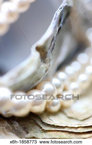 Stock Image - of the sea oyster shells and pearls. Fotosearch