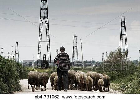 Oil field. Fier, Albania View Large Photo Image Stock Image - Oil field. Fier, Albania. Fotosearch