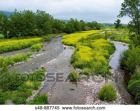 Oja river. Santurde. La Rioja. Spain. View Large Photo Image Stock Photography - Oja river. Santurde. La Rioja. Spain.. Fotosearch