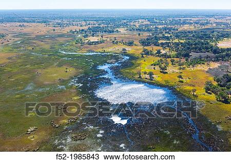 Stock Image - Okavango Delta, Botswana, Africa.. Fotosearch