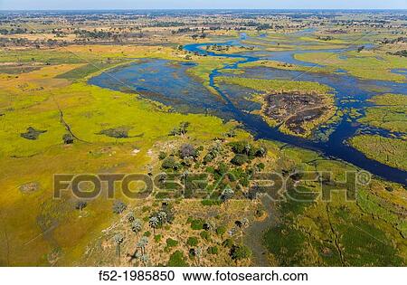 Stock Image - Okavango Delta, Botswana, Africa.. Fotosearch