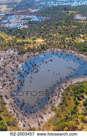 Okavango Delta, Botswana, Africa. View Large Photo Image Stock Photo - Okavango Delta, Botswana, Africa.. Fotosearch